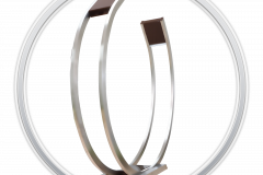 Ring-1